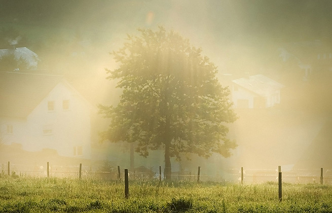 网站攻击软件工具